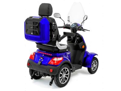 Rolektro E-Quad 25 V.3 Premium Galeriebild 10