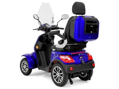 Rolektro E-Quad 25 V.3 Premium Galeriebild 12