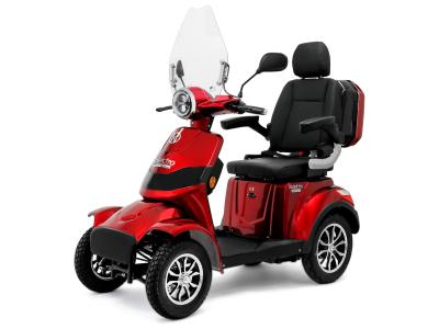 Rolektro E-Quad 25 V.3 Premium Galeriebild 16