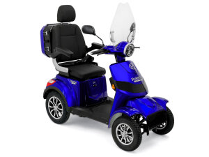 Rolektro E-Quad 25 V.3 Premium