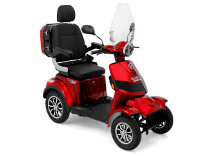 Rolektro E-Quad 15 V.3 Premium