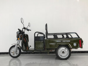 Eborn Cargo Cat 1 V2