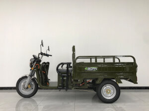 Eborn Cargo Cat 2 V2