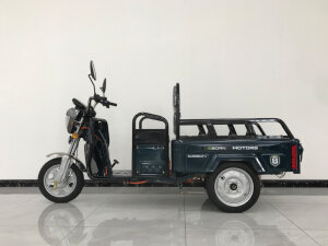 Eborn Cargo Cat 1 V2 E-Cargo-Service