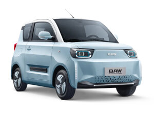 Baw Pony E-Pkw-Service