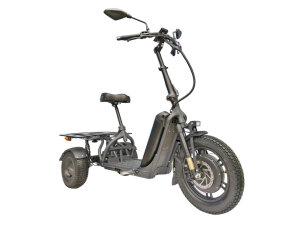 LongCo Workliner E-Trike-Service